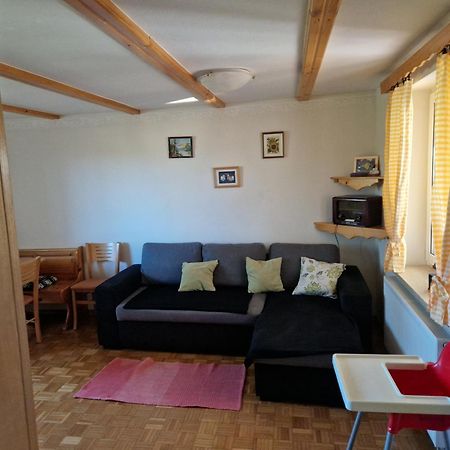 Luxury Apartment Ana With Hot Tub Visnja Gora 外观 照片